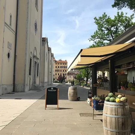 San Giacomo 14 بيت للعطل ترييستي